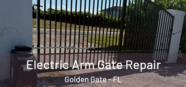 Electric Arm Gate Repair Golden Gate - FL